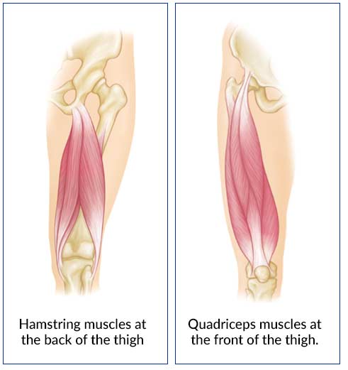 Thigh Muscle Strain BoulderCentre For Orthopedics Spine